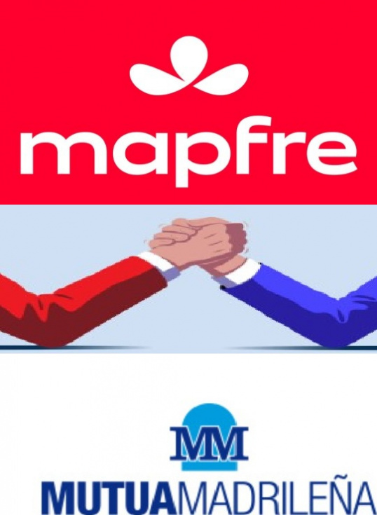 El presidente de Mapfre desprecia el modelo de Mutua Madrile&ntilde;a: "Nosotros nunca prometeremos ser la compa&ntilde;&iacute;a m&aacute;s barata, para nosotros..."