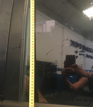 [Img #14114]